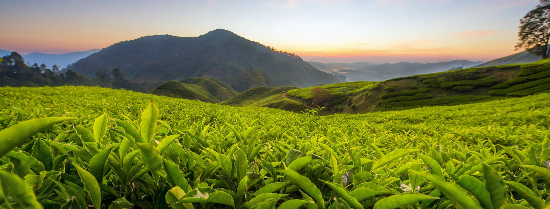 Ubytování SIL Obrázok6