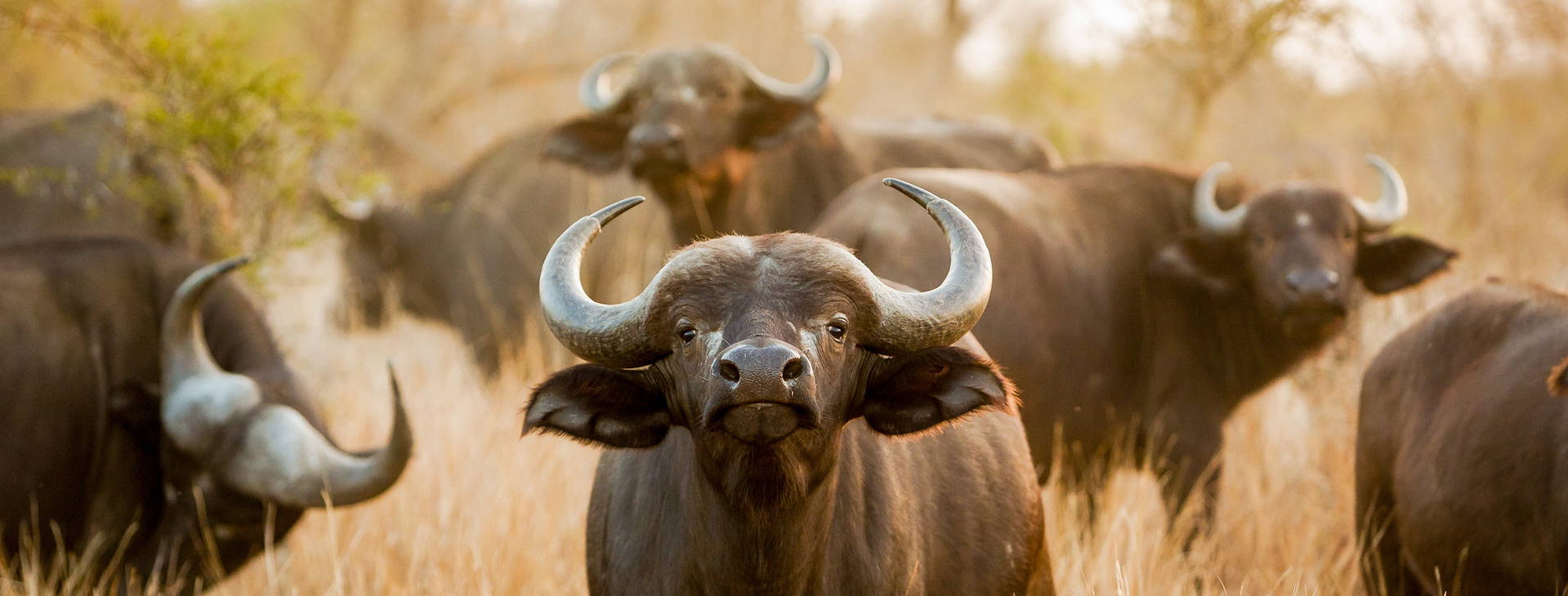 Ubytování SIL Obrázok7