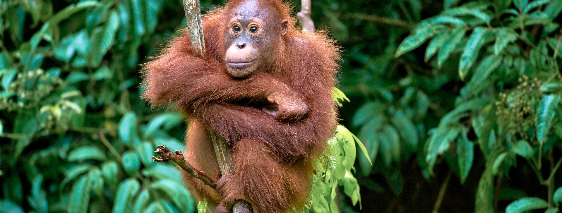 Ubytování SIL Obrázok0