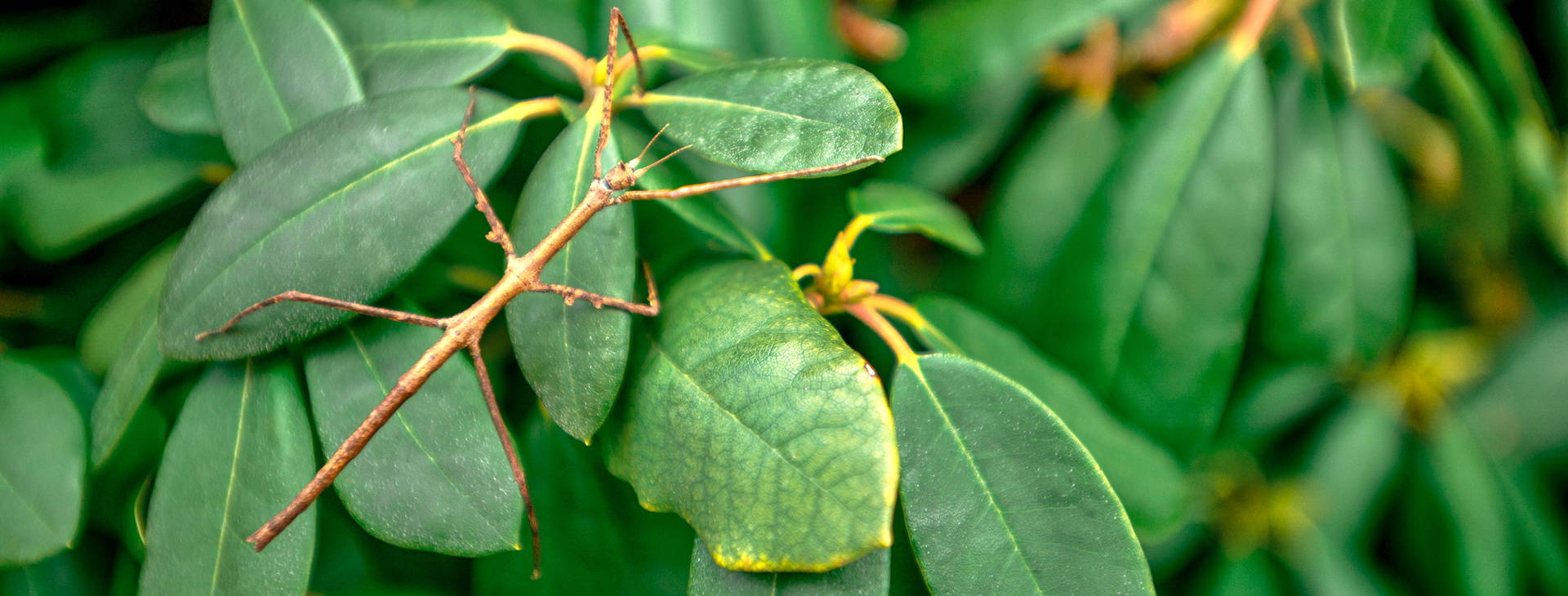 Ubytování SIL Obrázok9