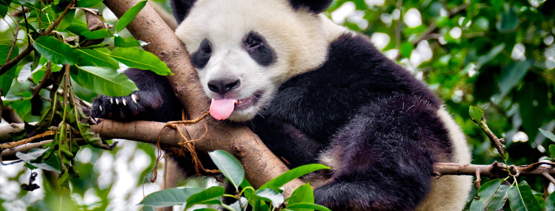 Ubytování CTF Obrázok6