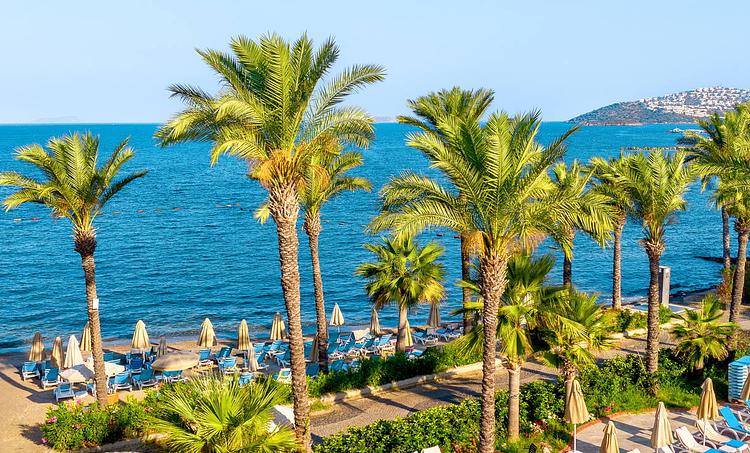 Arin Resort-obr