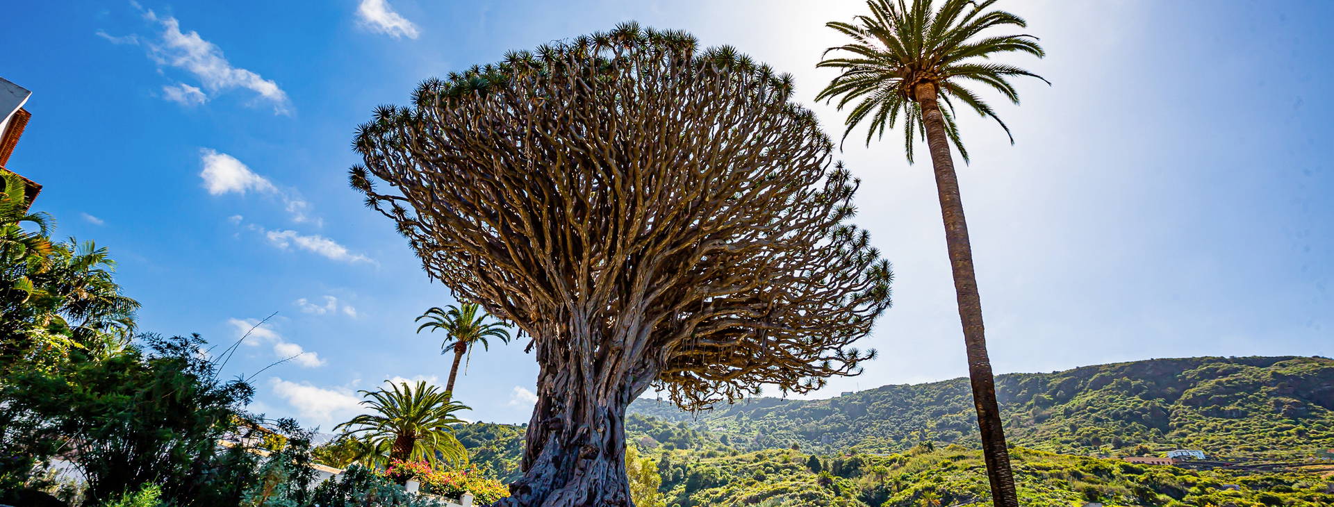 Ubytování TAF Obrázok4