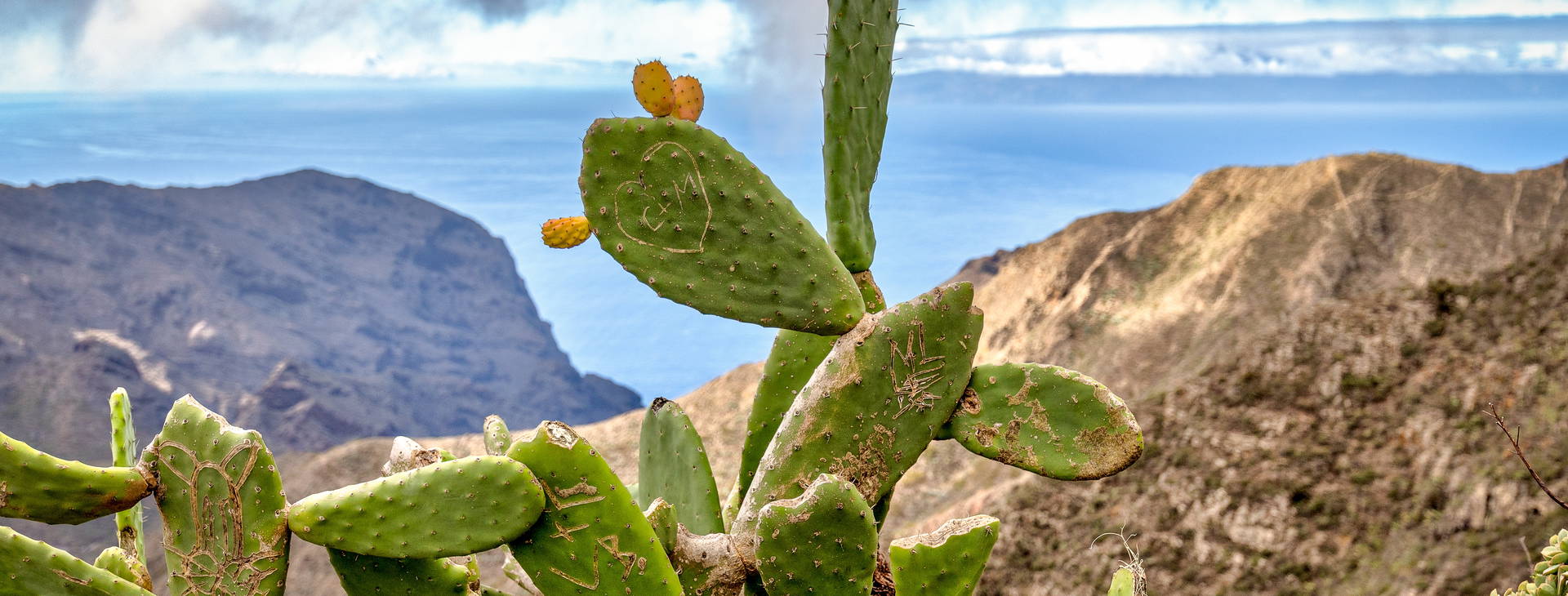 Ubytování TAF Obrázok18