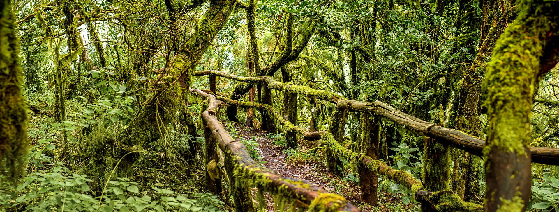 Ubytování TAF Obrázok21