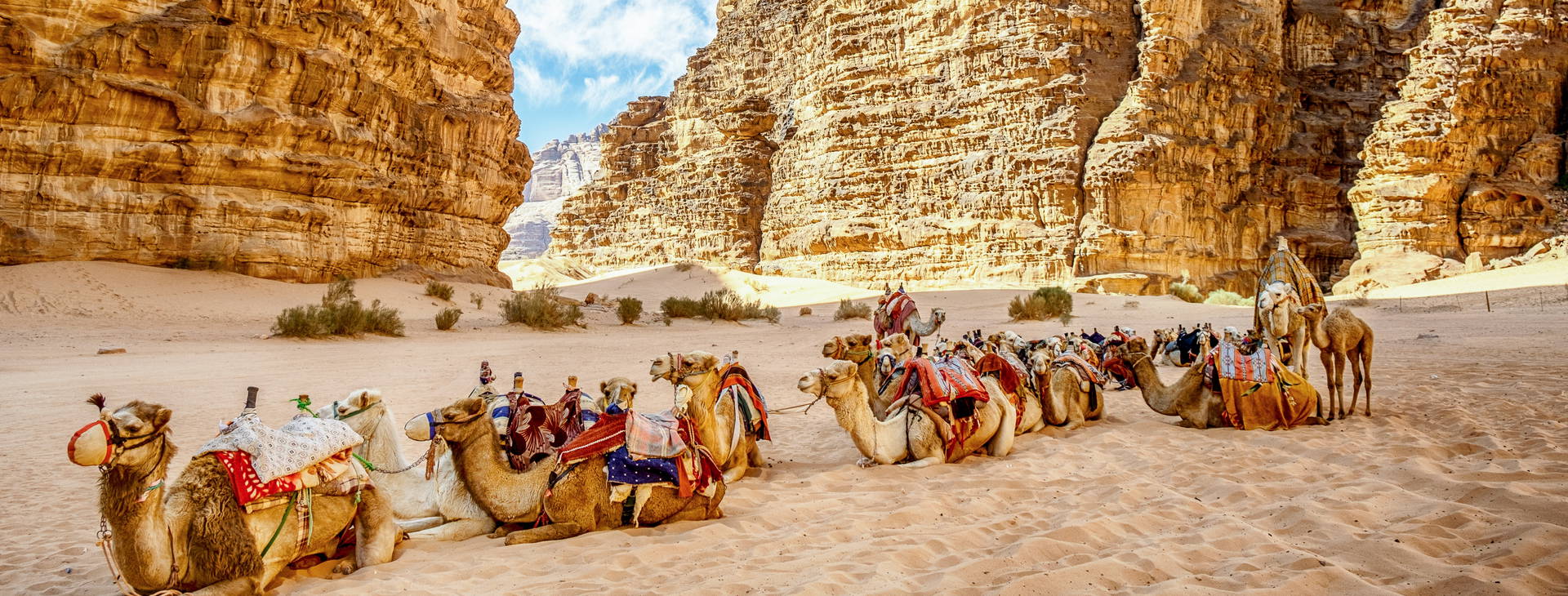 Hotel Marina Plaza JOG Obrázok1