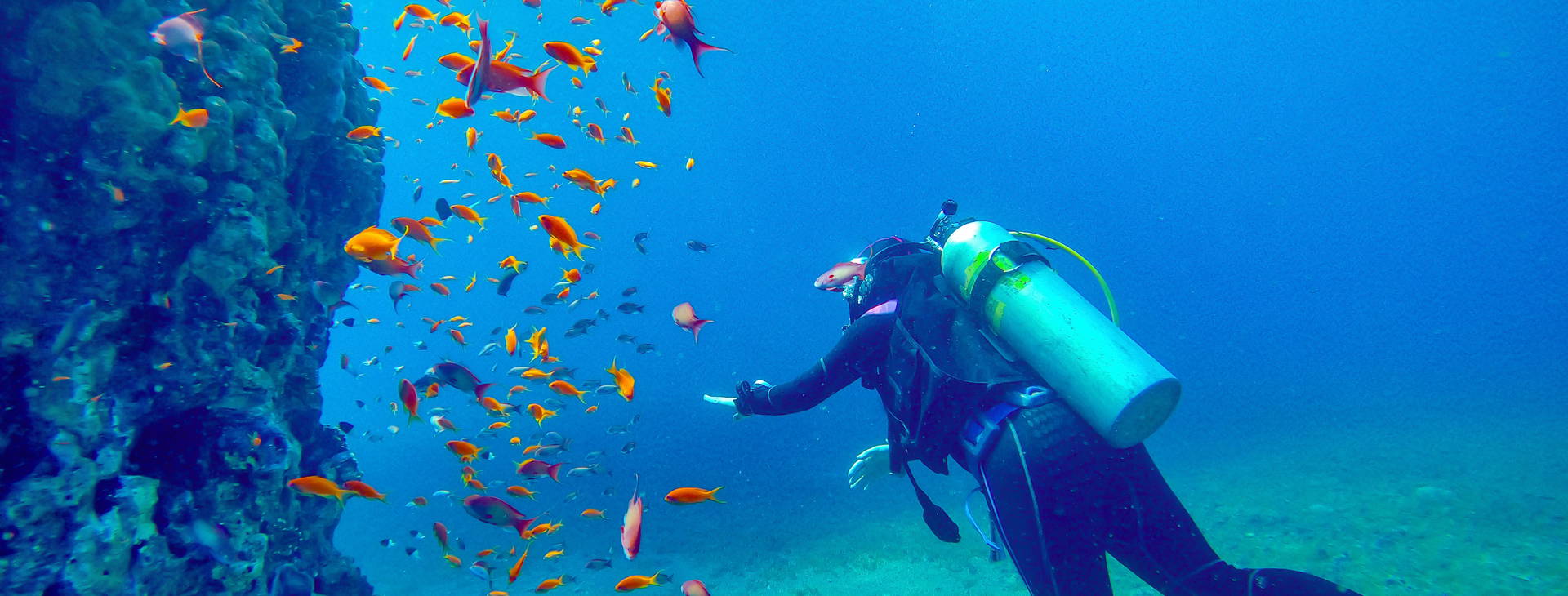 Hotel Marina Plaza JOG Obrázok6