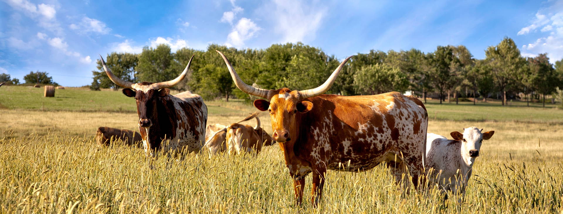 Ubytování UTX Obrázok10