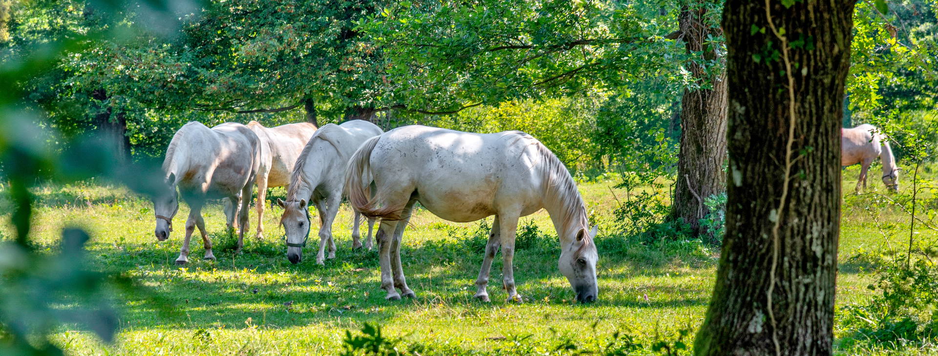 Ubytování CSA Obrázok14