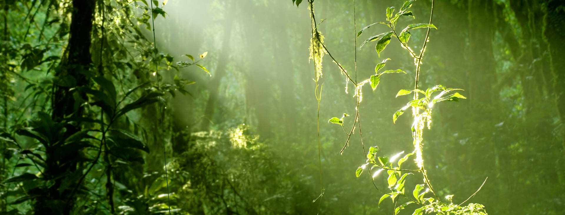 Ubytování KSJ Obrázok9