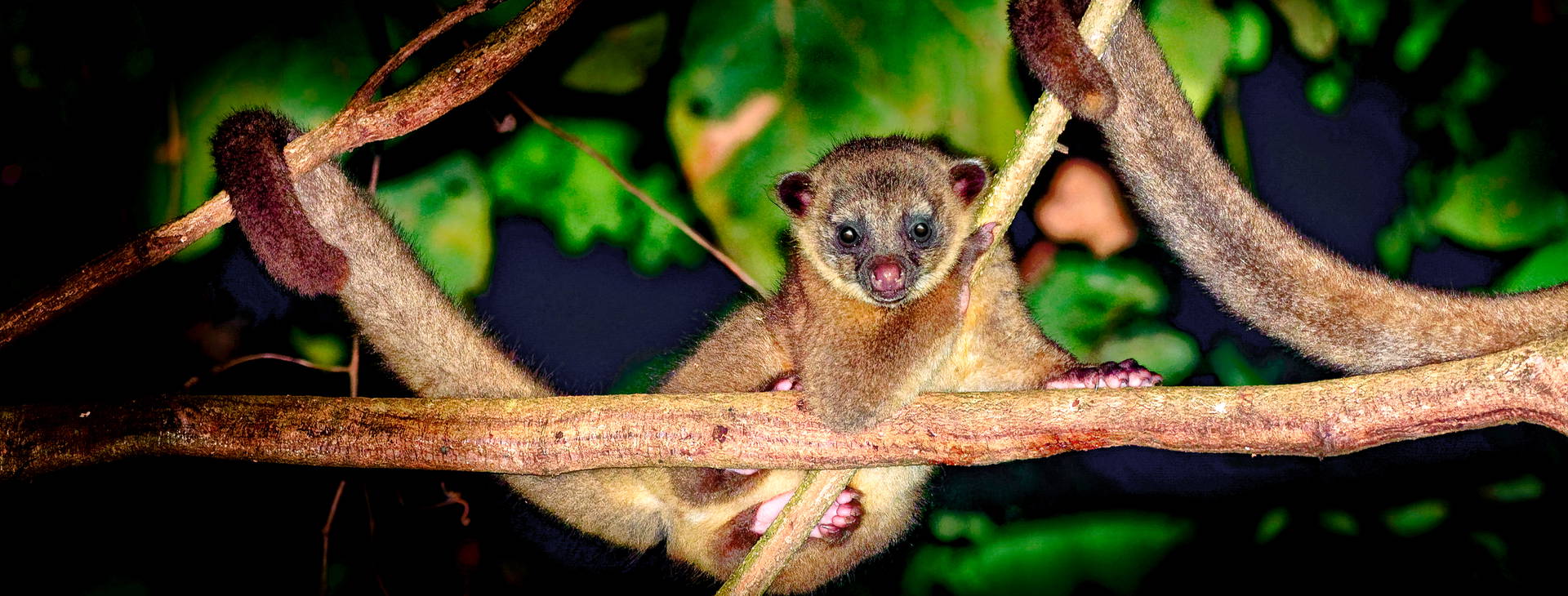 Ubytování KSJ Obrázok11