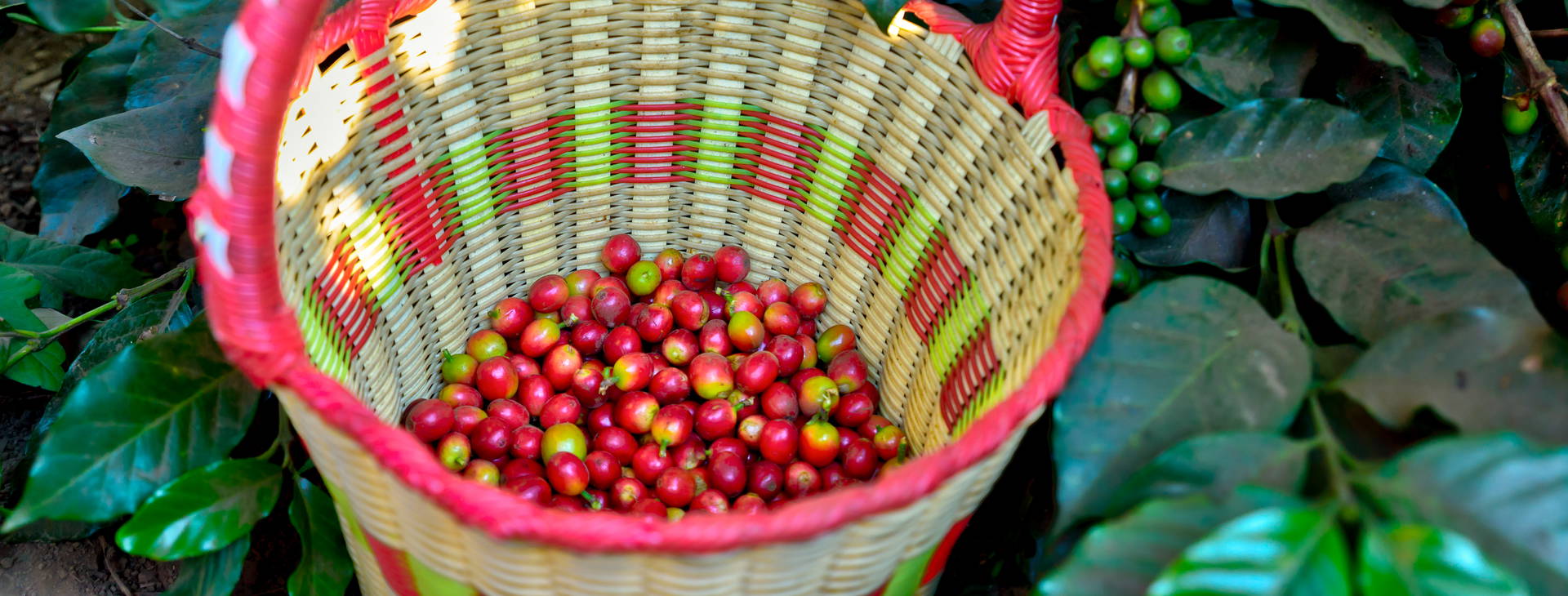 Ubytování KSJ Obrázok19