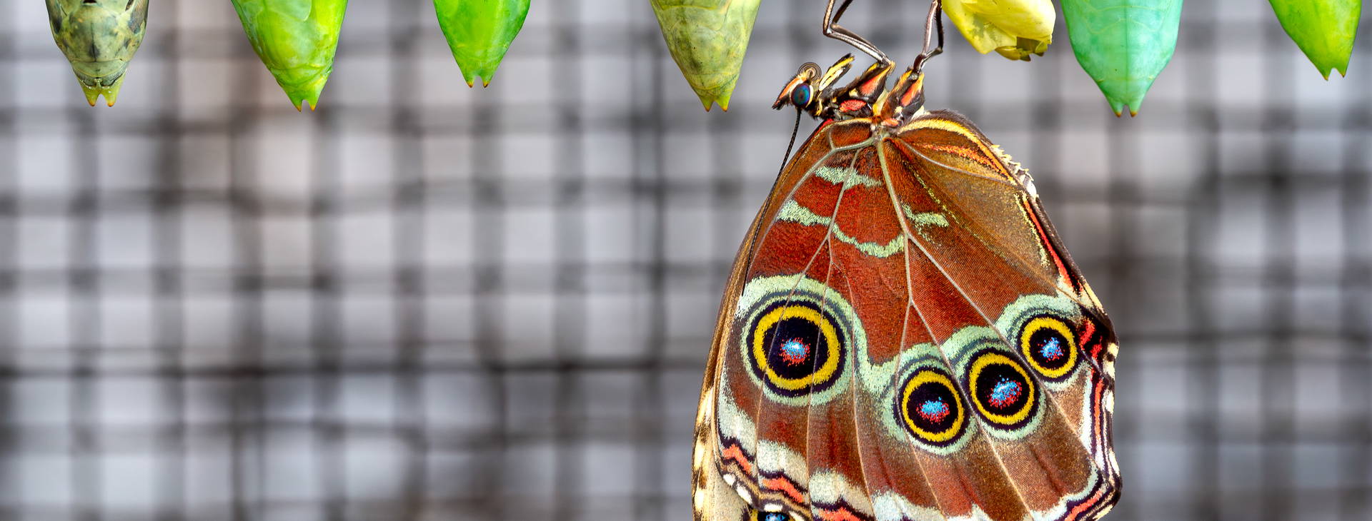 Ubytování KSJ Obrázok29