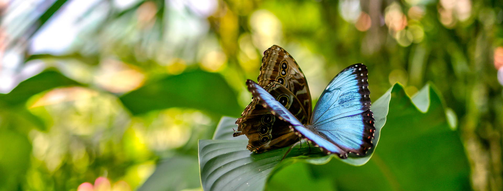 Ubytování KSJ Obrázok12