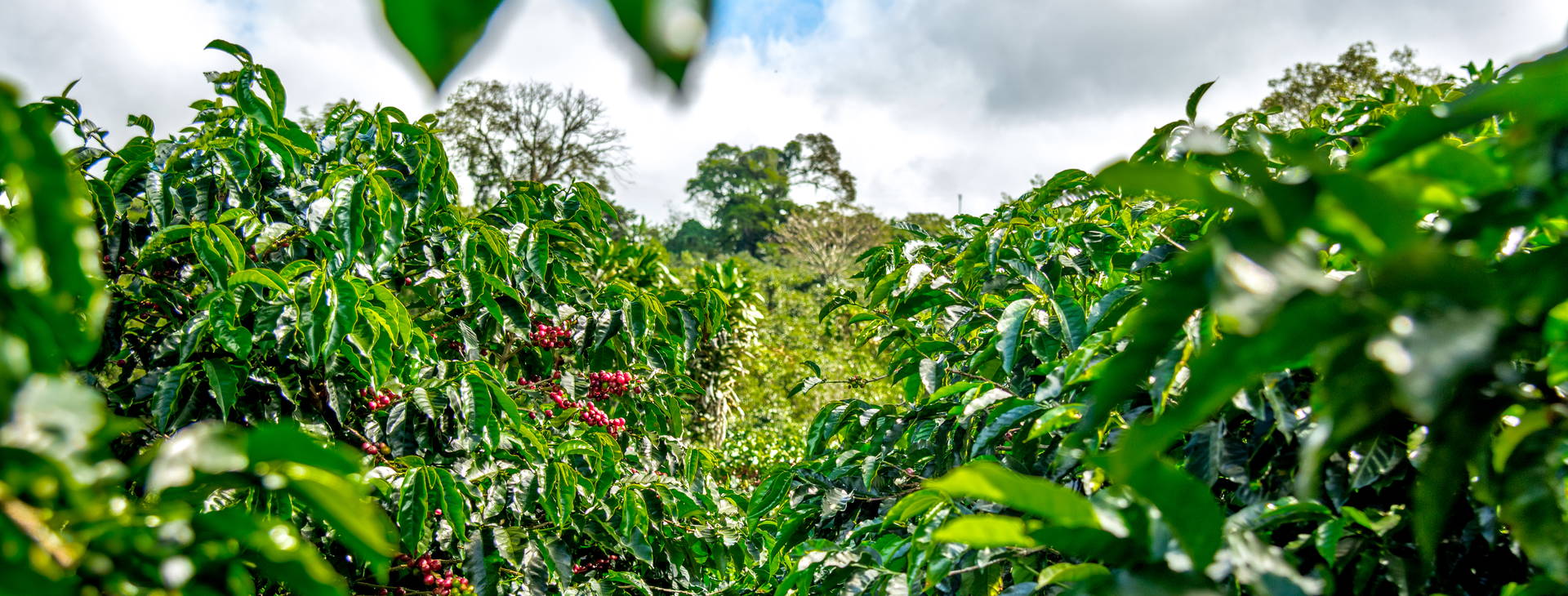 Ubytování KSJ Obrázok34