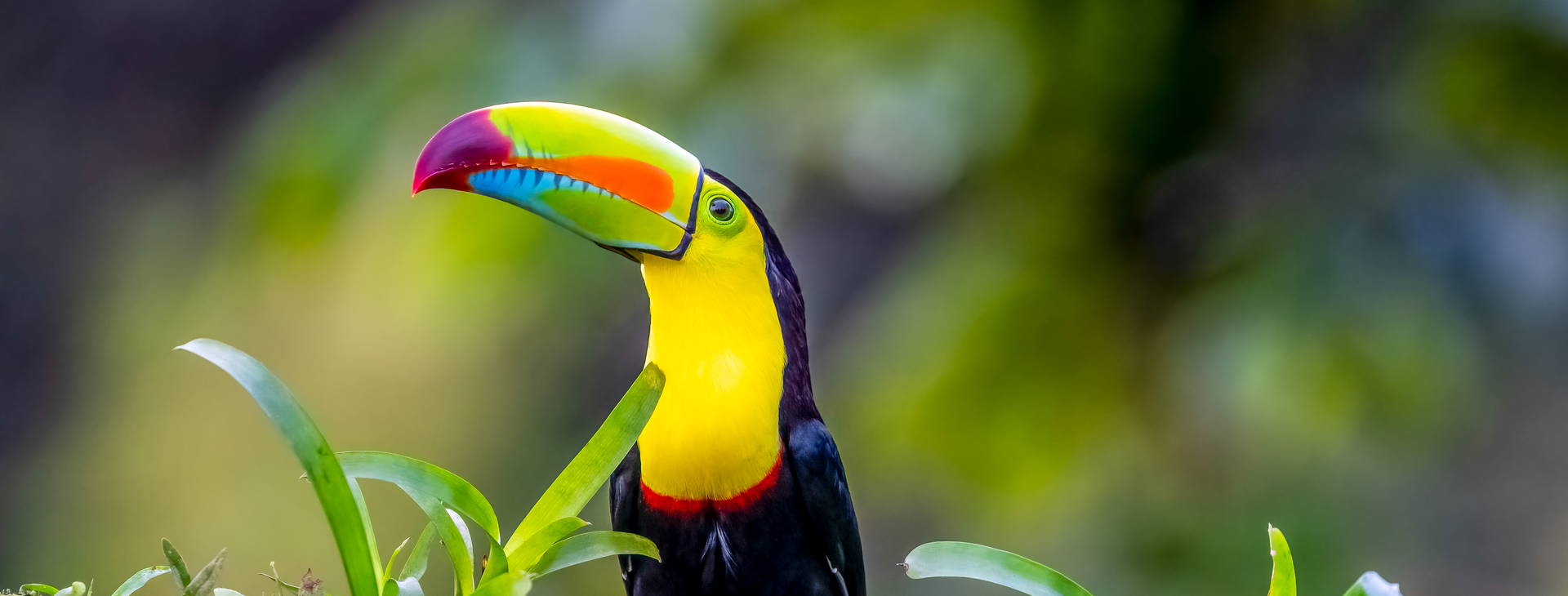 Ubytování KSJ Obrázok33