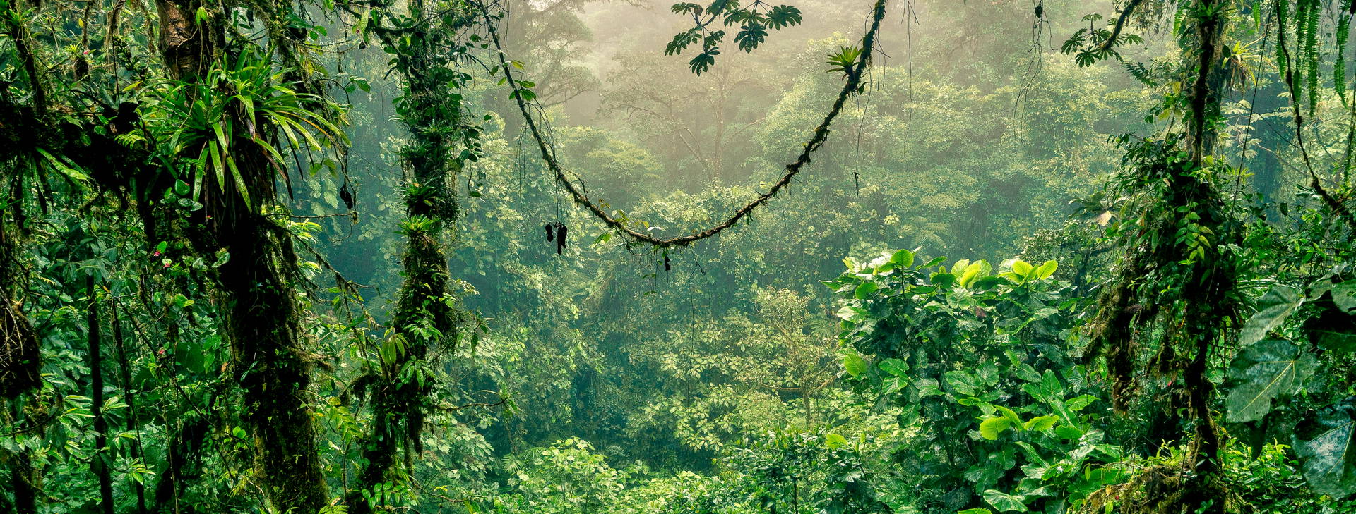 Ubytování KSJ Obrázok31