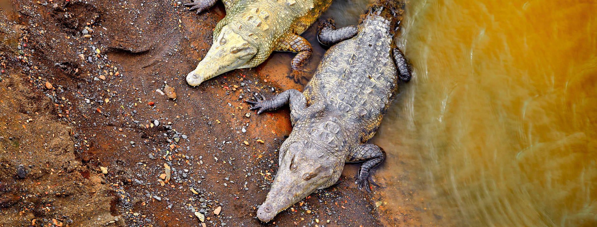 Ubytování KSJ Obrázok35