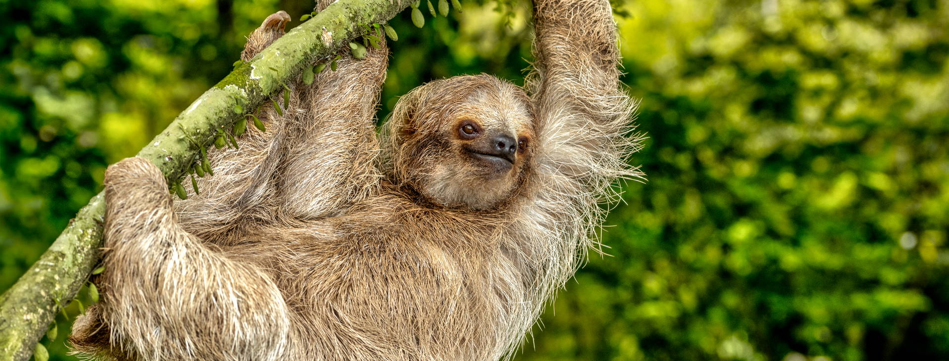 Ubytování KSJ Obrázok28