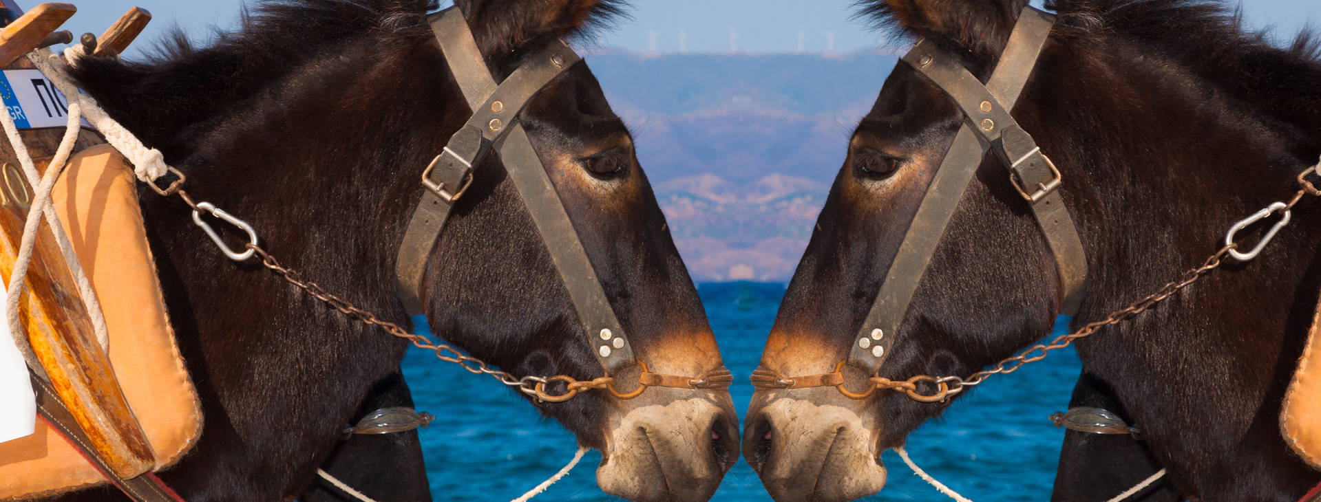 Ubytování ALF Obrázok17