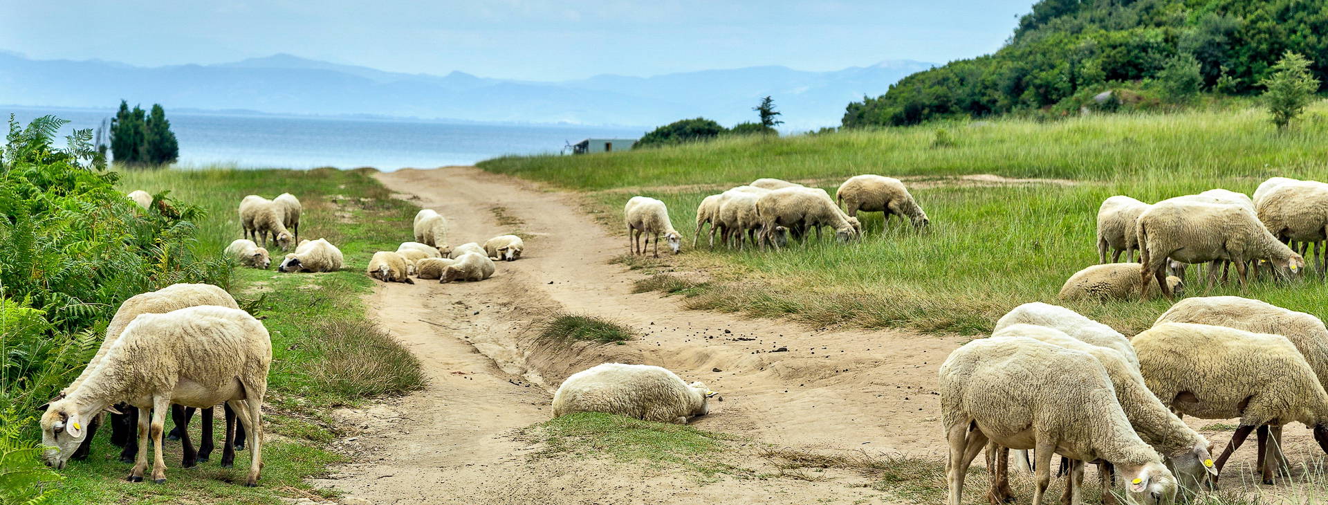 Ubytování ALF Obrázok4