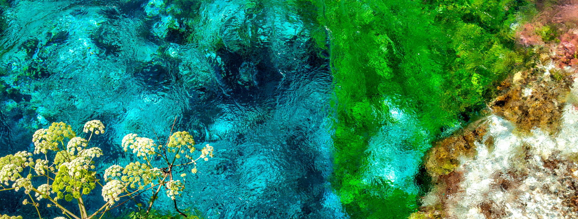 Ubytování ALF Obrázok22