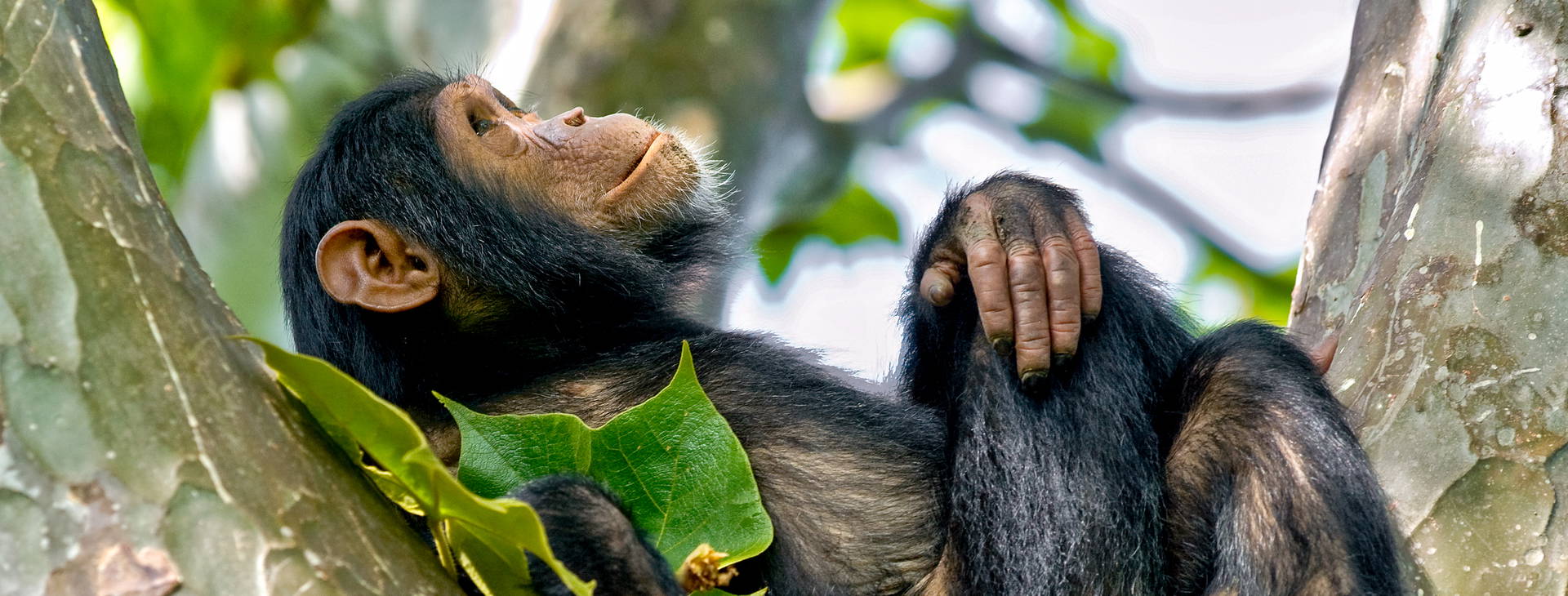 Ubytování KUG Obrázok1