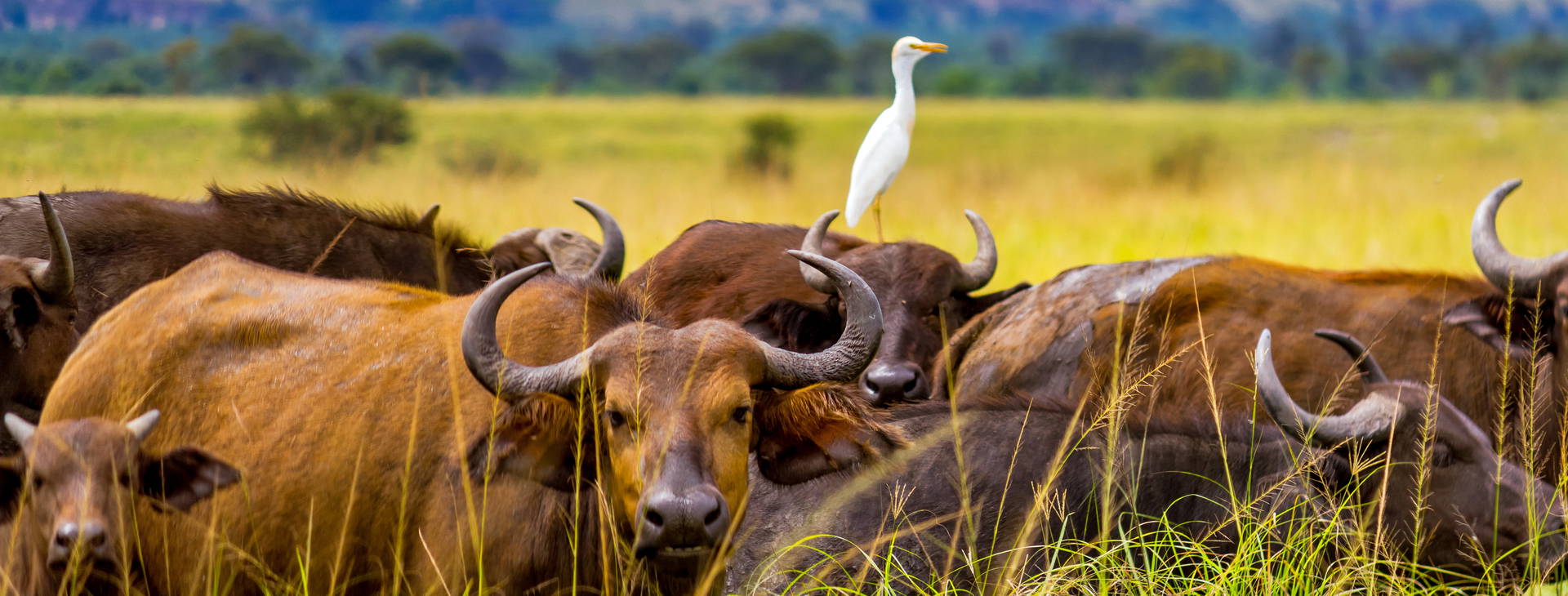 Ubytování KUG Obrázok6