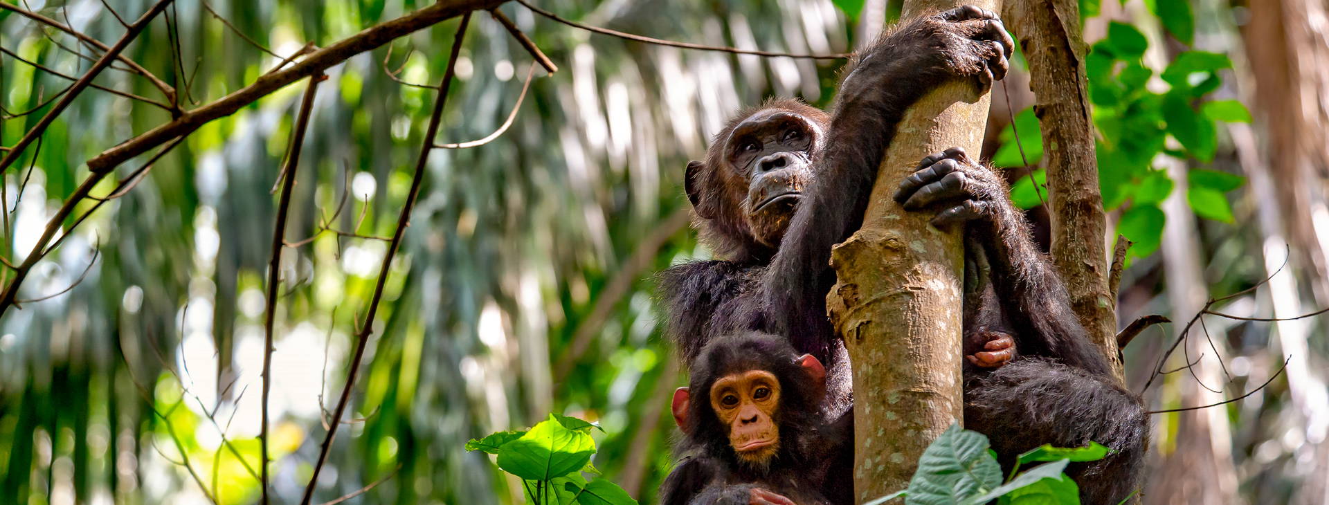 Ubytování KUG Obrázok7