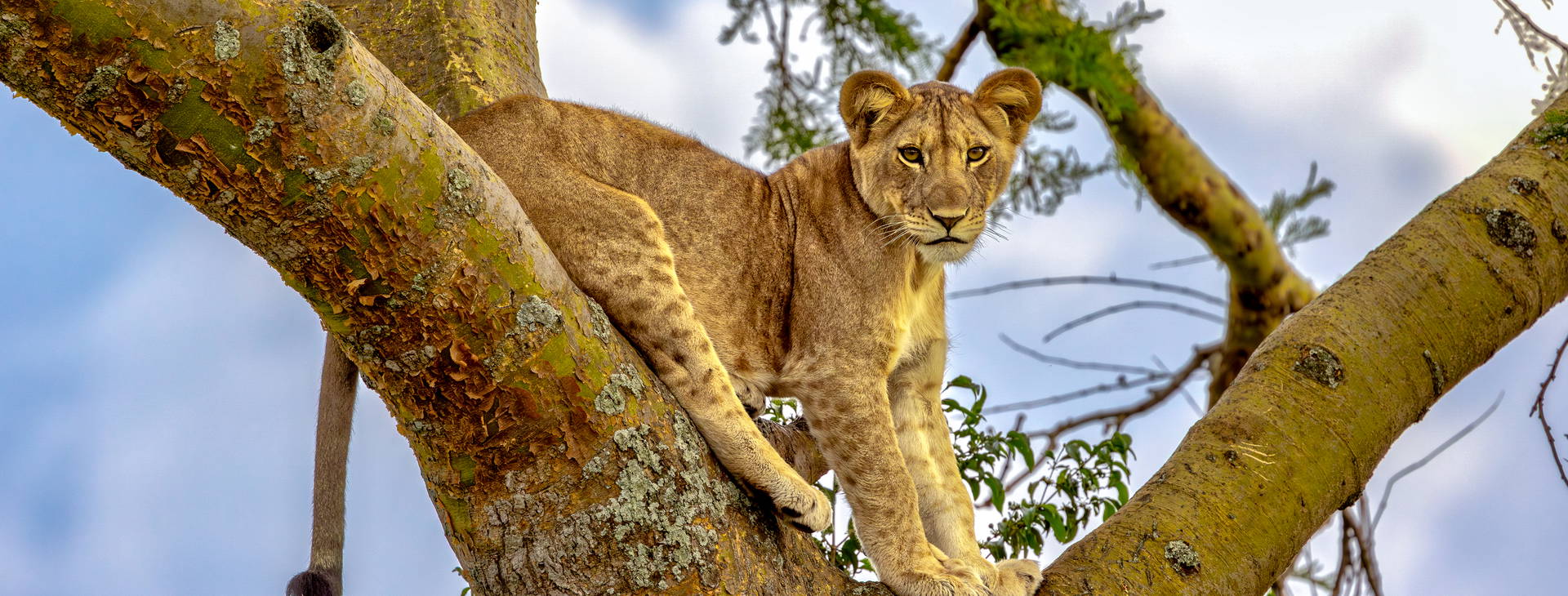 Ubytování KUG Obrázok12