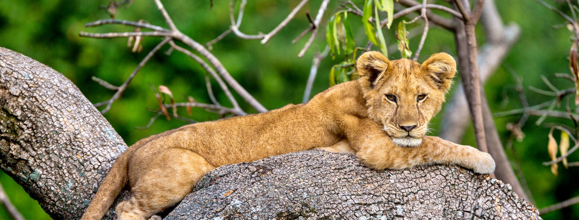 Ubytování KUG Obrázok13