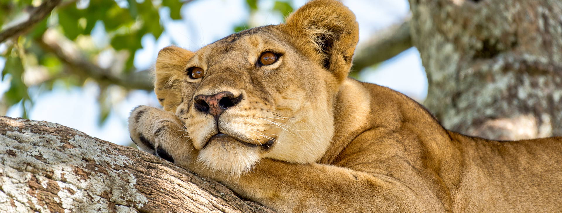 Ubytování KUG Obrázok15