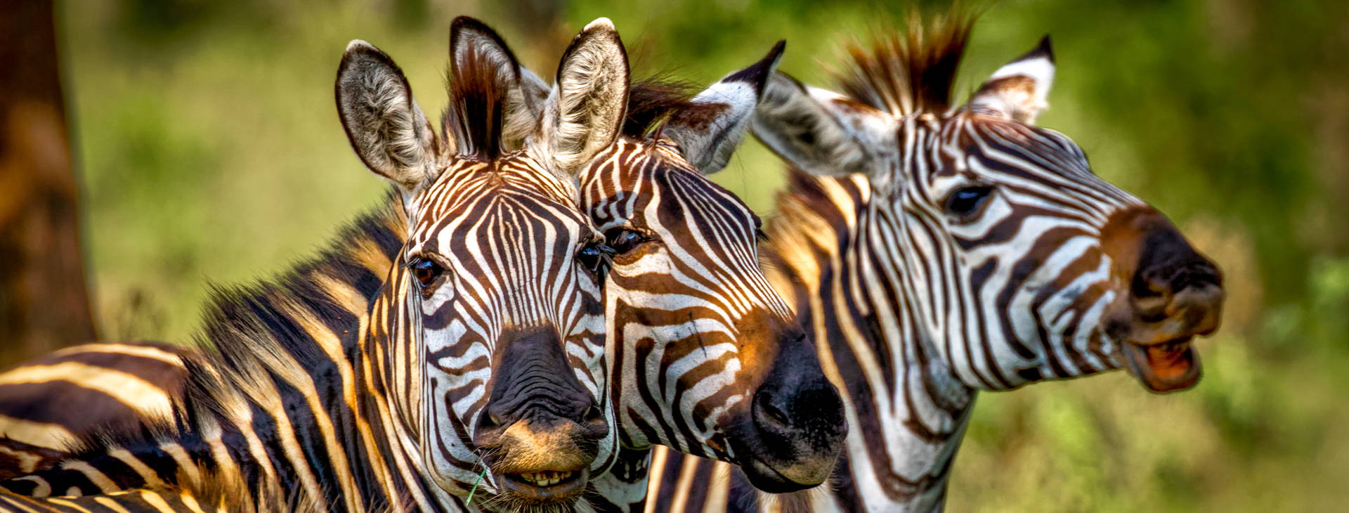 Ubytování KUG Obrázok18