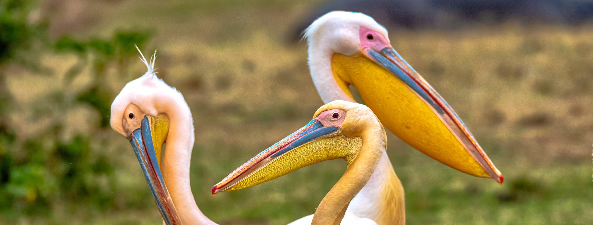 Ubytování KUG Obrázok23