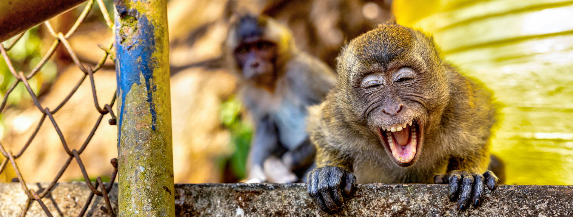 Ubytování KUG Obrázok25