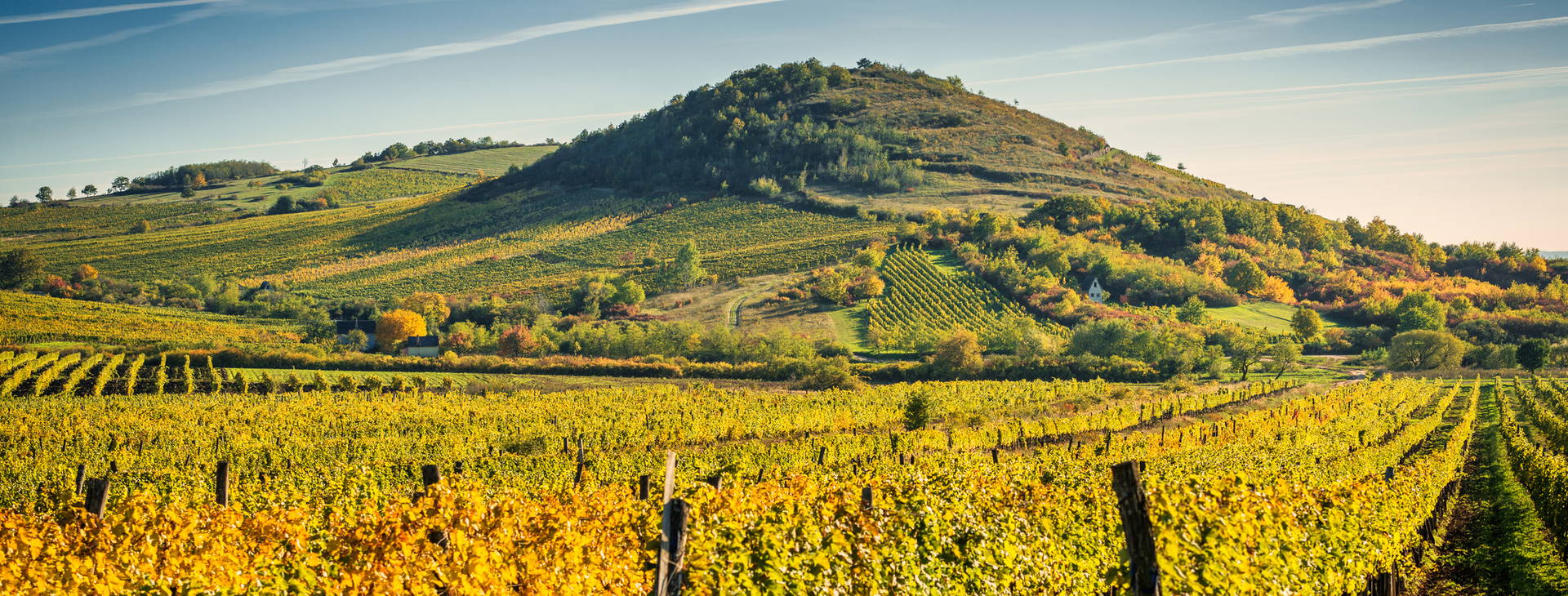 Ubytování BUX Obrázok2