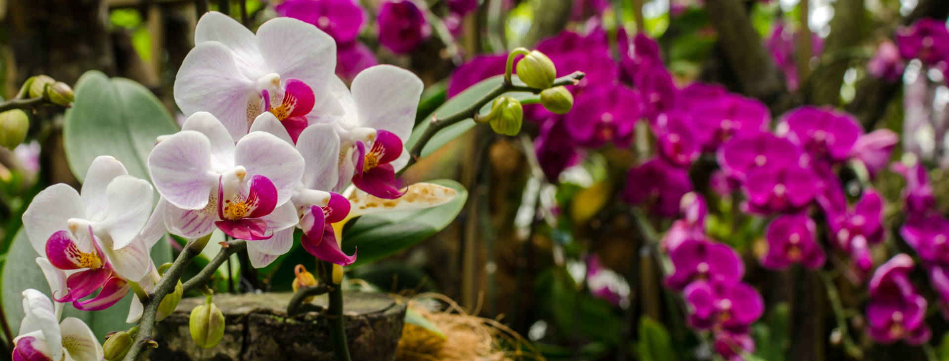 Ubytování SIM Obrázok15