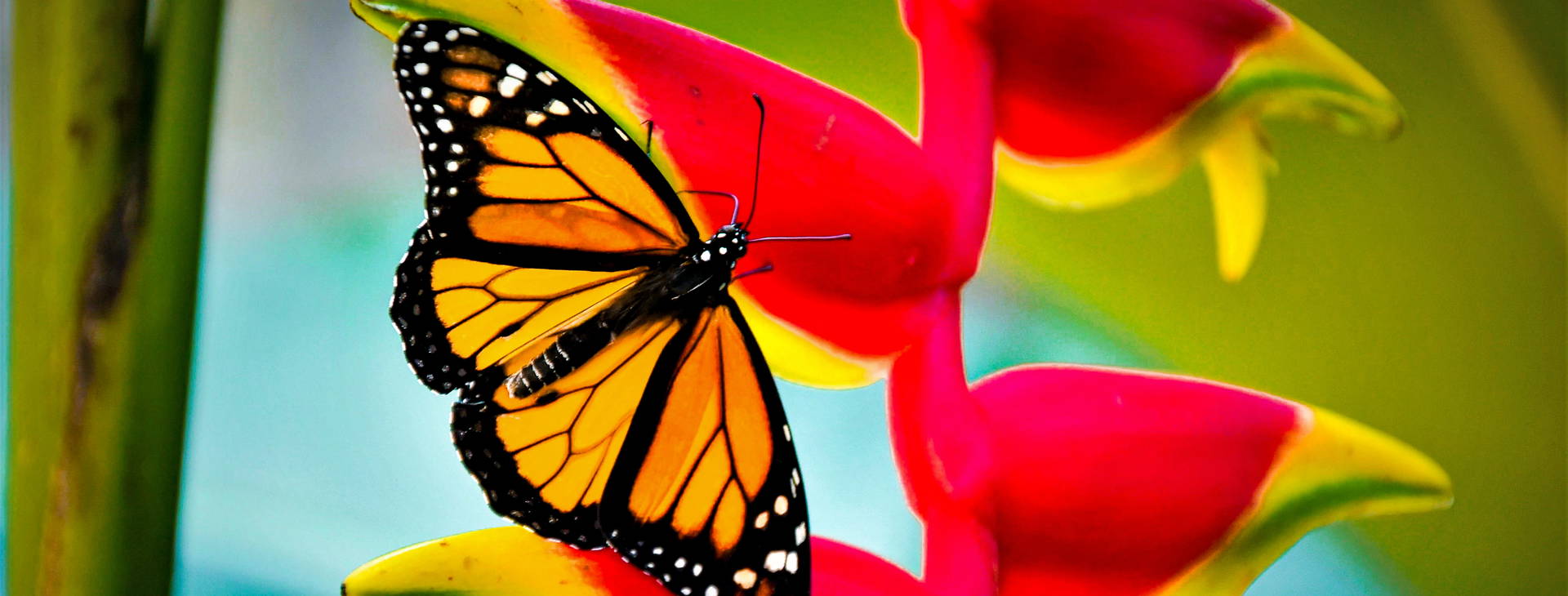 Ubytování JME Obrázok5