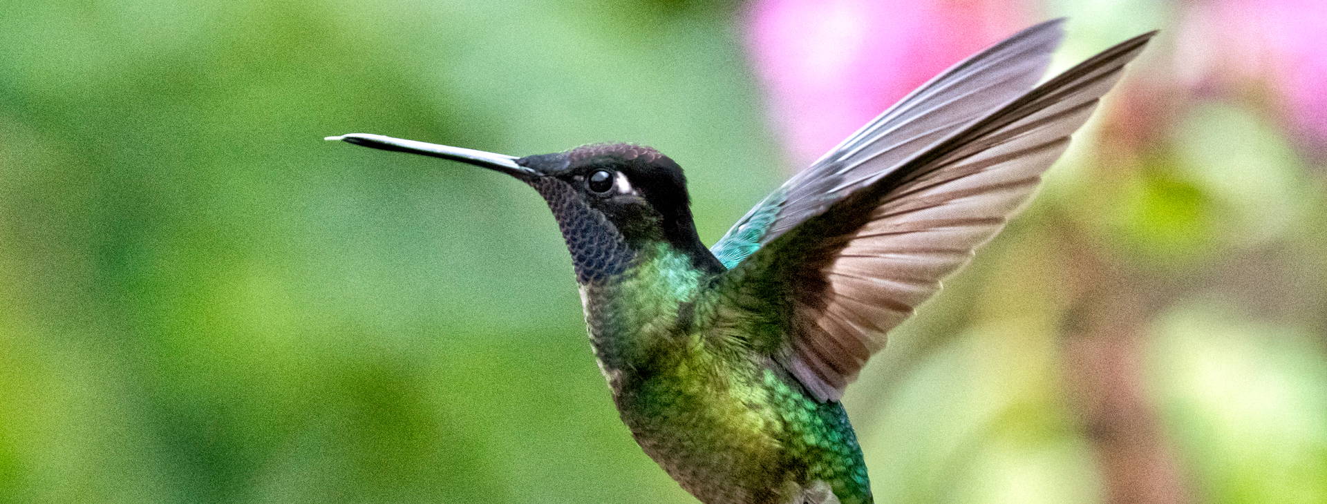 Ubytování JME Obrázok19