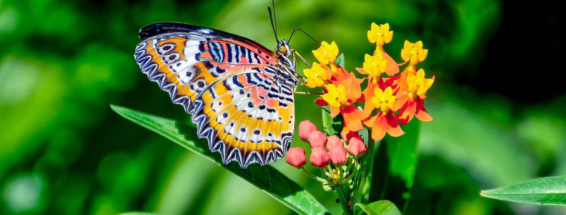 Ubytování JME Obrázok20