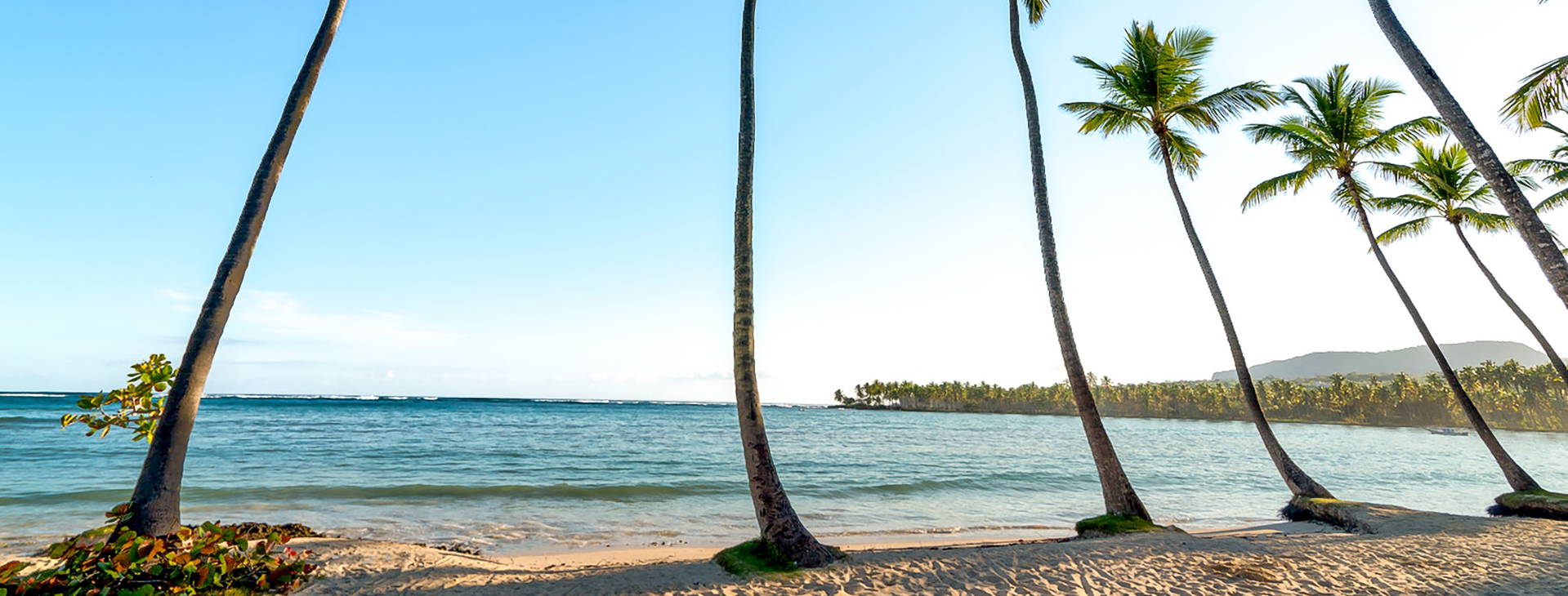 Wyndham Alltra Samana (ex. Grand Paradise Samana) Obrázok16