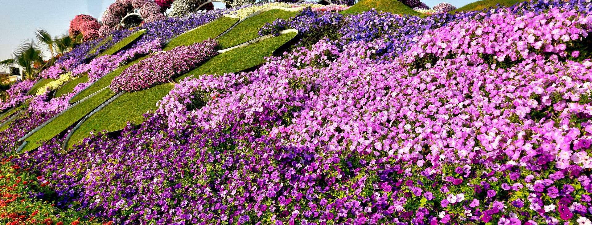 Ubytování ARD Obrázok18