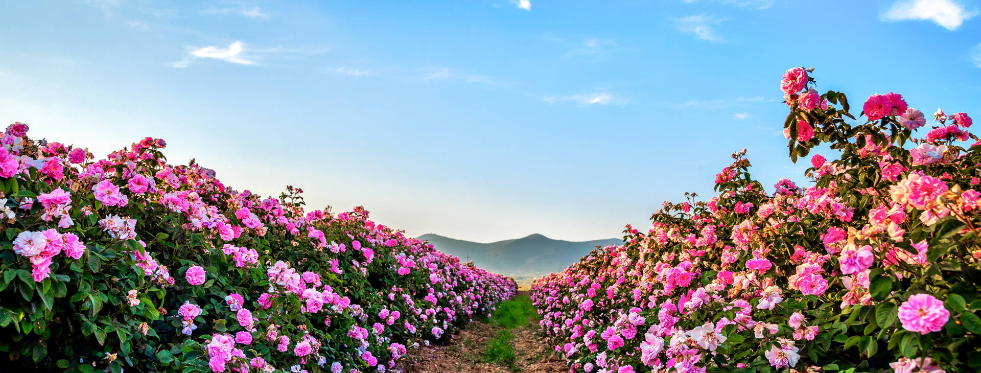 Ubytování ARD Obrázok20