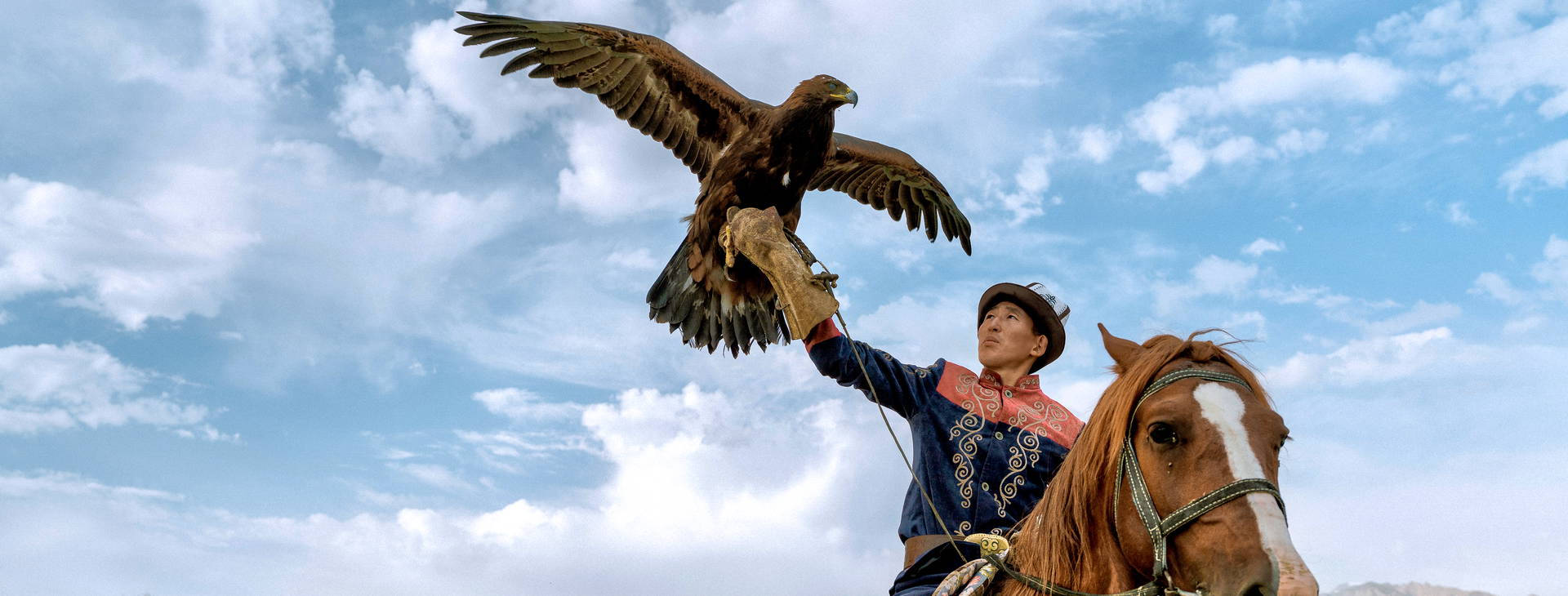 ﻿Ubytování UZK Obrázok0