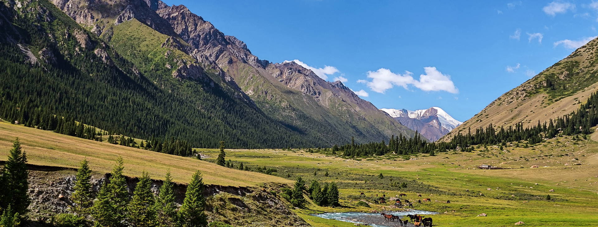 ﻿Ubytování UZK Obrázok38