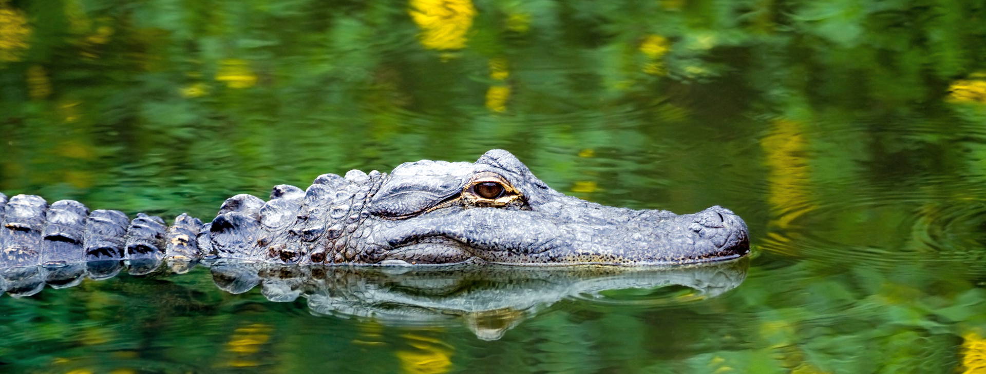 Ubytování MCE (Celebrity Constellation) Obrázok13