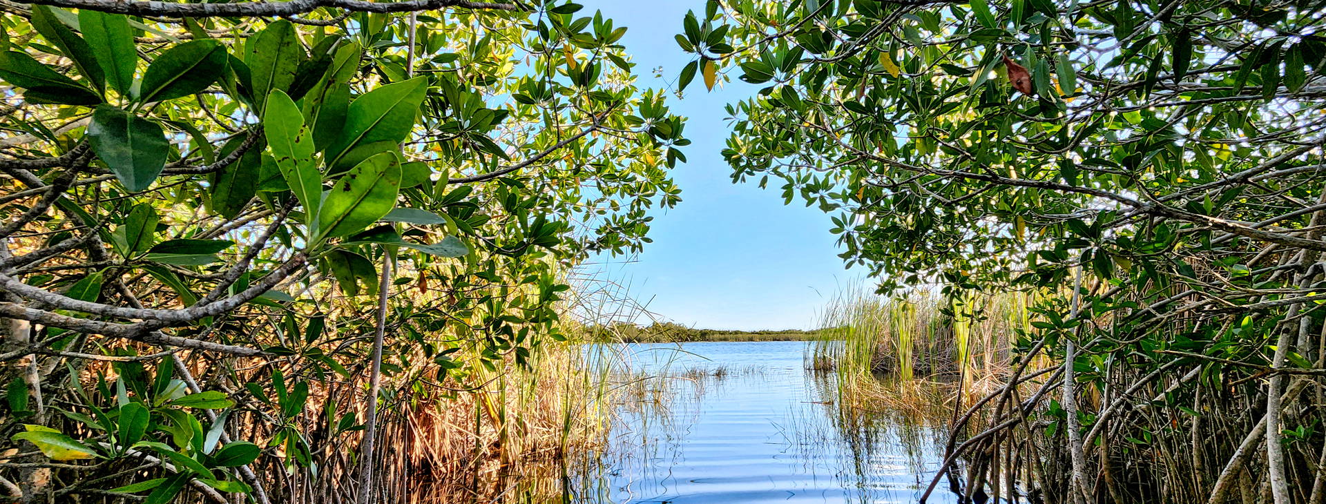 Ubytování MCE (Celebrity Constellation) Obrázok14