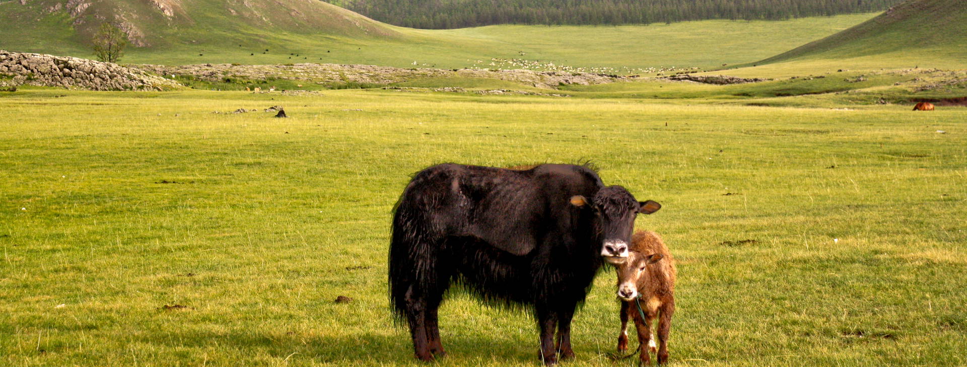 Ubytování MGN Obrázok11