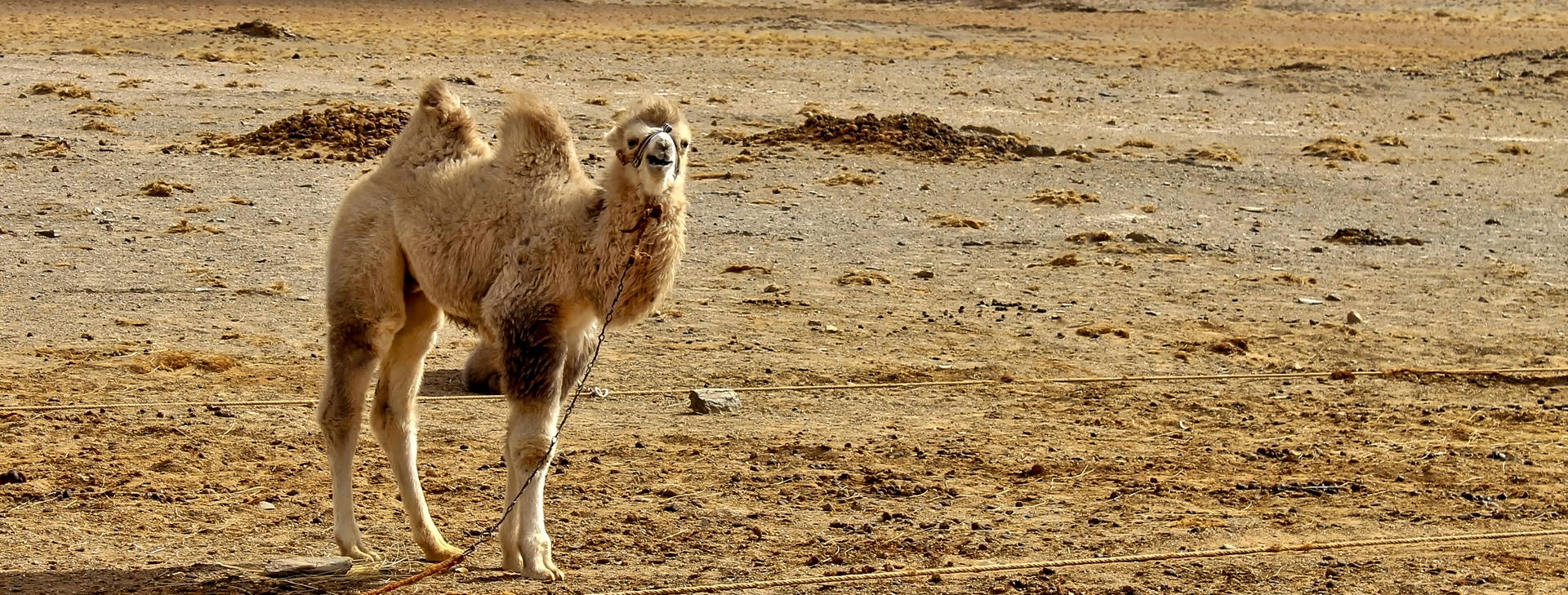Ubytování MGN Obrázok10