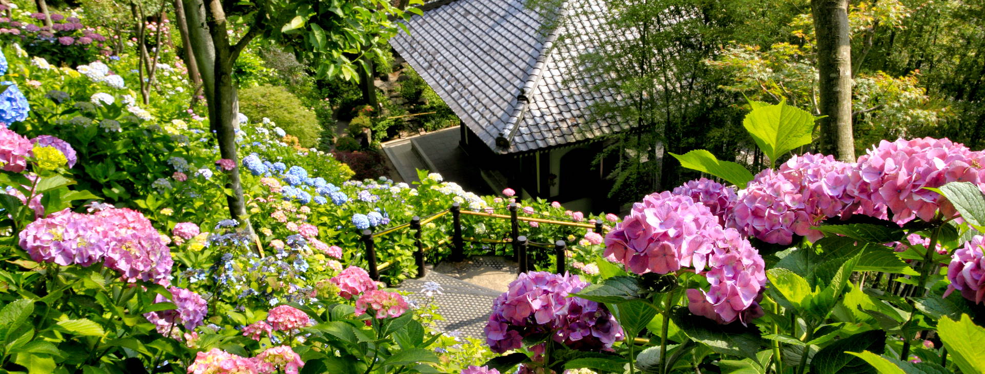 Ubytování JAR Obrázok16